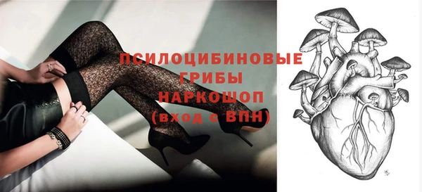 тгк Пенза