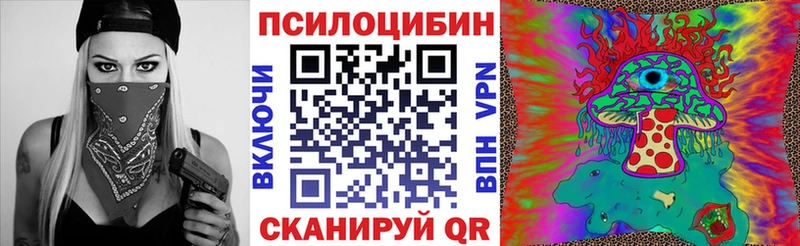 Купить  Зубцов  Галлюциногенные грибы Psilocybine cubensis 
